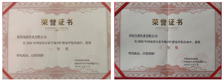 榮譽(yù) | “百家牛場青貯質(zhì)量評鑒活動(dòng)”花花牛新蔡瑞亞牧業(yè)、河南合源乳業(yè)分別榮獲一、三等獎(jiǎng)
