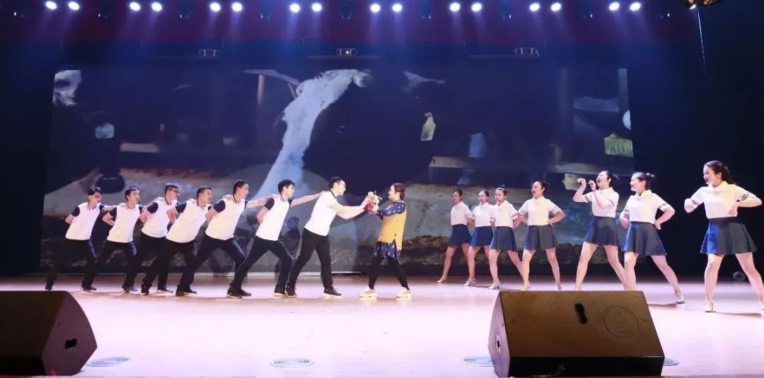 “贏在2019”，花花牛乳業集團2019年新春晚會盛大開幕